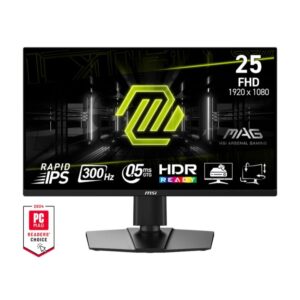 MSI MAG G255PXF (IPS Panel, Res: 1920x1080, 300Hz, 0.5ms GTG, AMD free Sync)